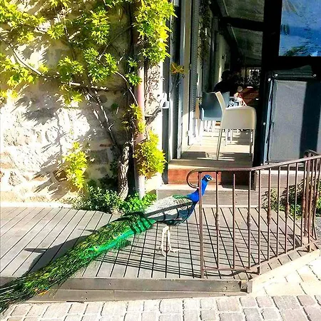 B洛奇酒店 圣特罗佩